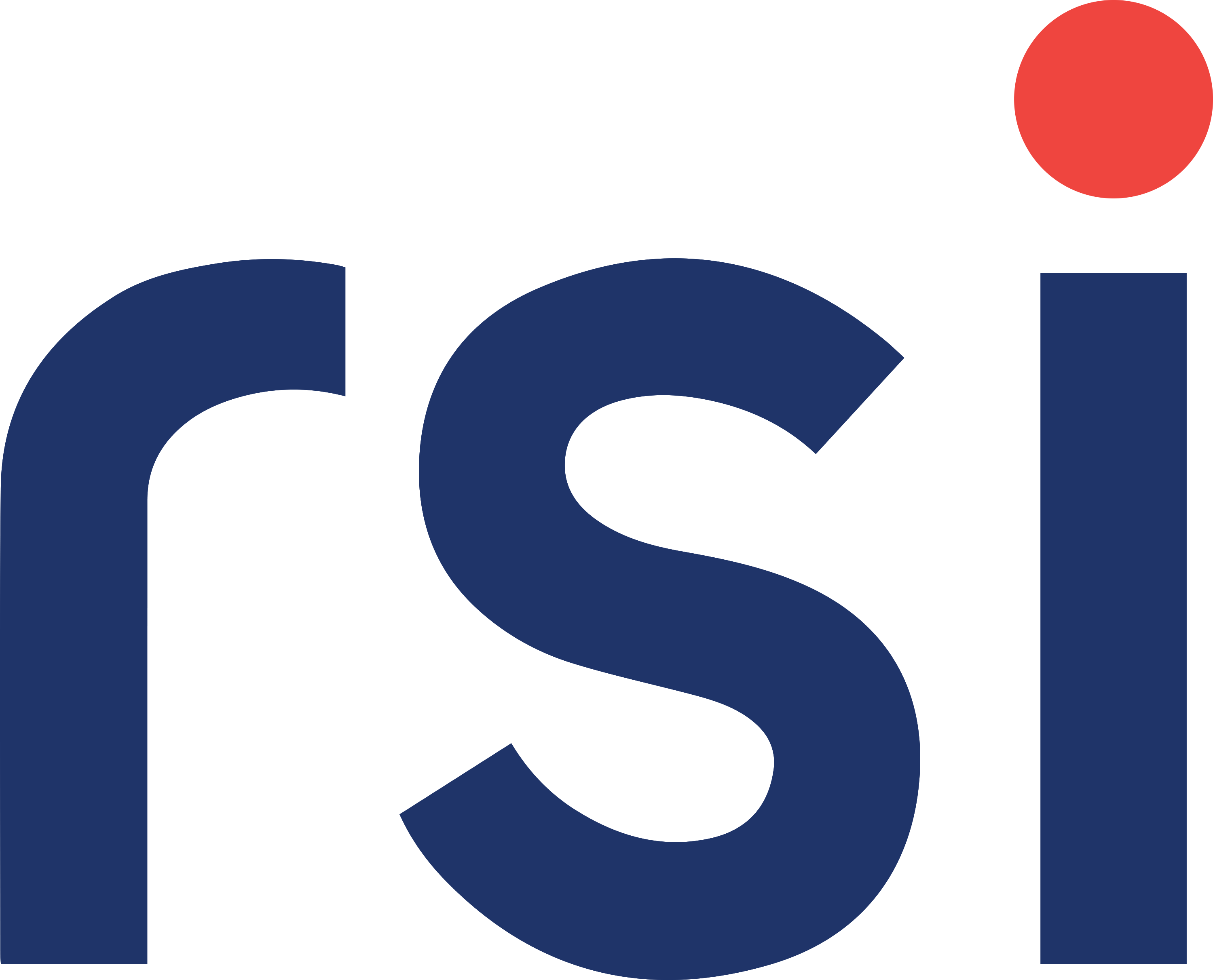 Revenue Solutions Inc Logo